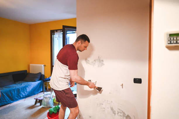 Reliable Hico, TX Mold Removal Solutions
